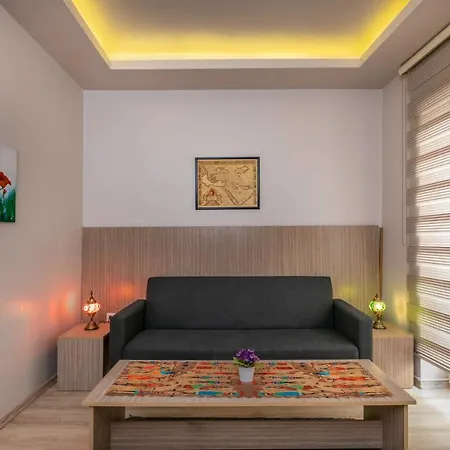 Baltaci 7 Apartment *